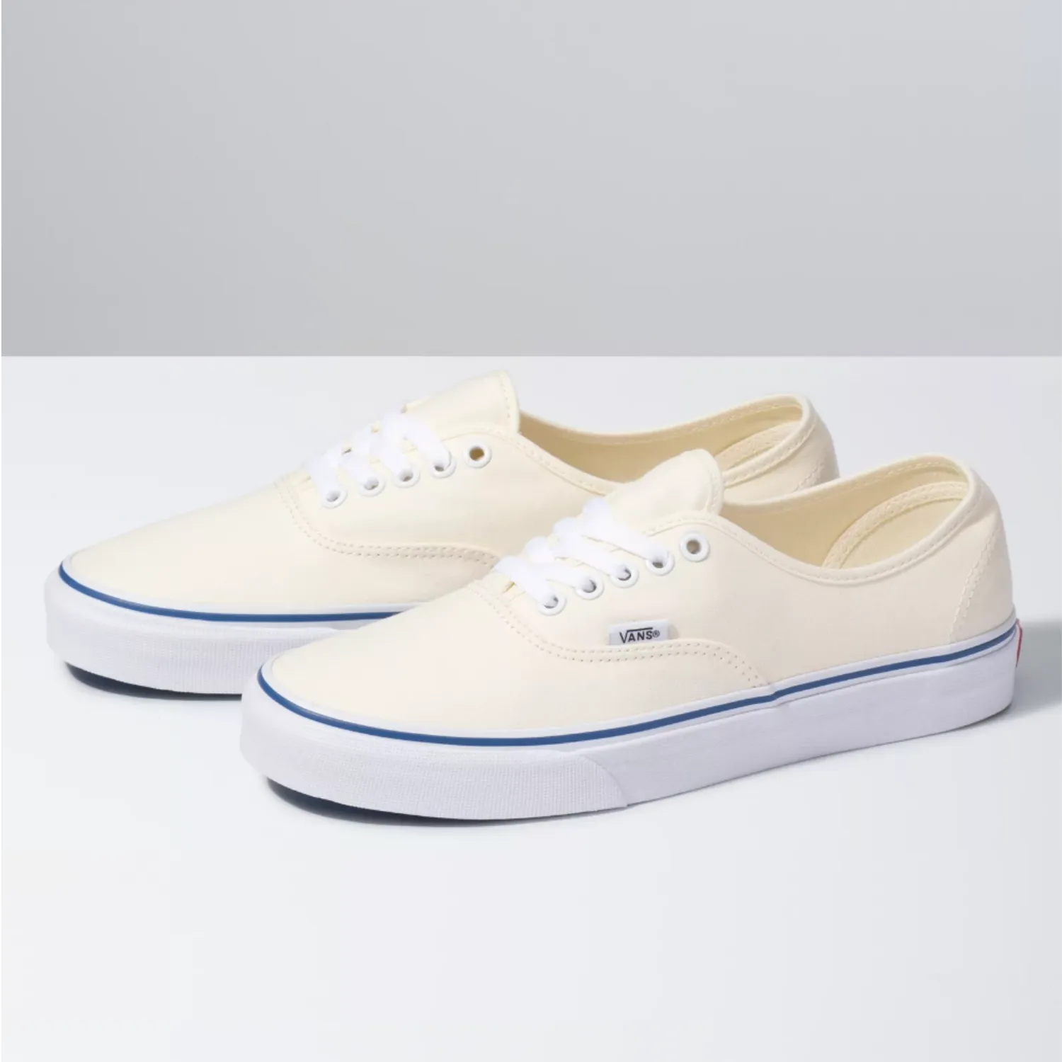 Vans Skate Authentic Off White Skate Shoes