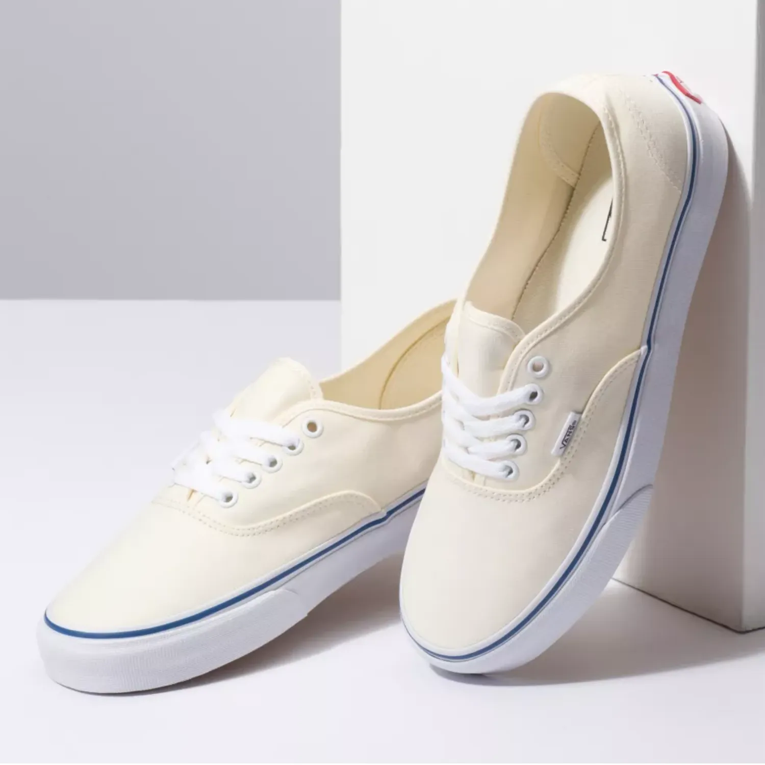 Vans Skate Authentic Off White Skate Shoes