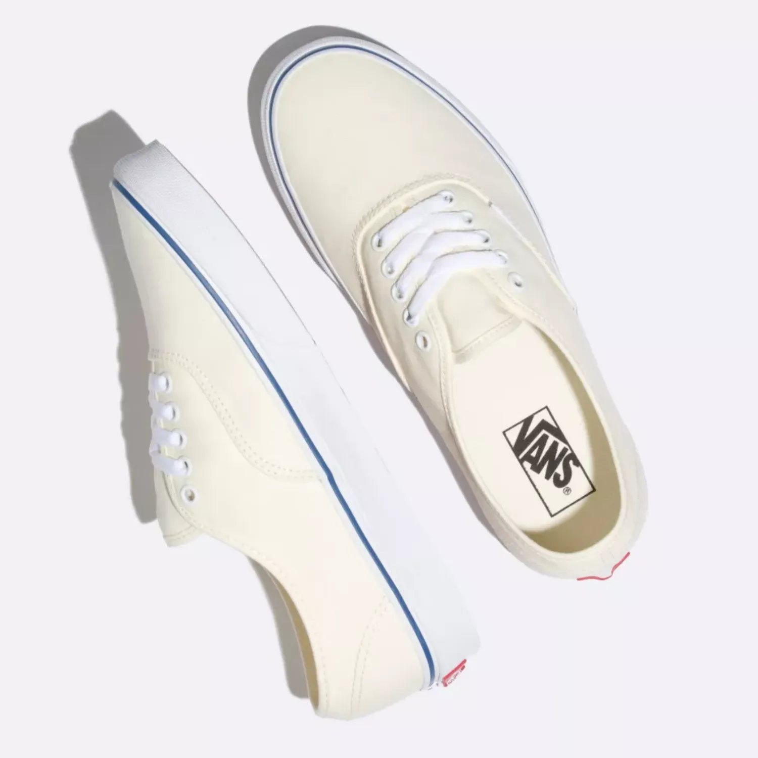 Vans Skate Authentic Off White Skate Shoes