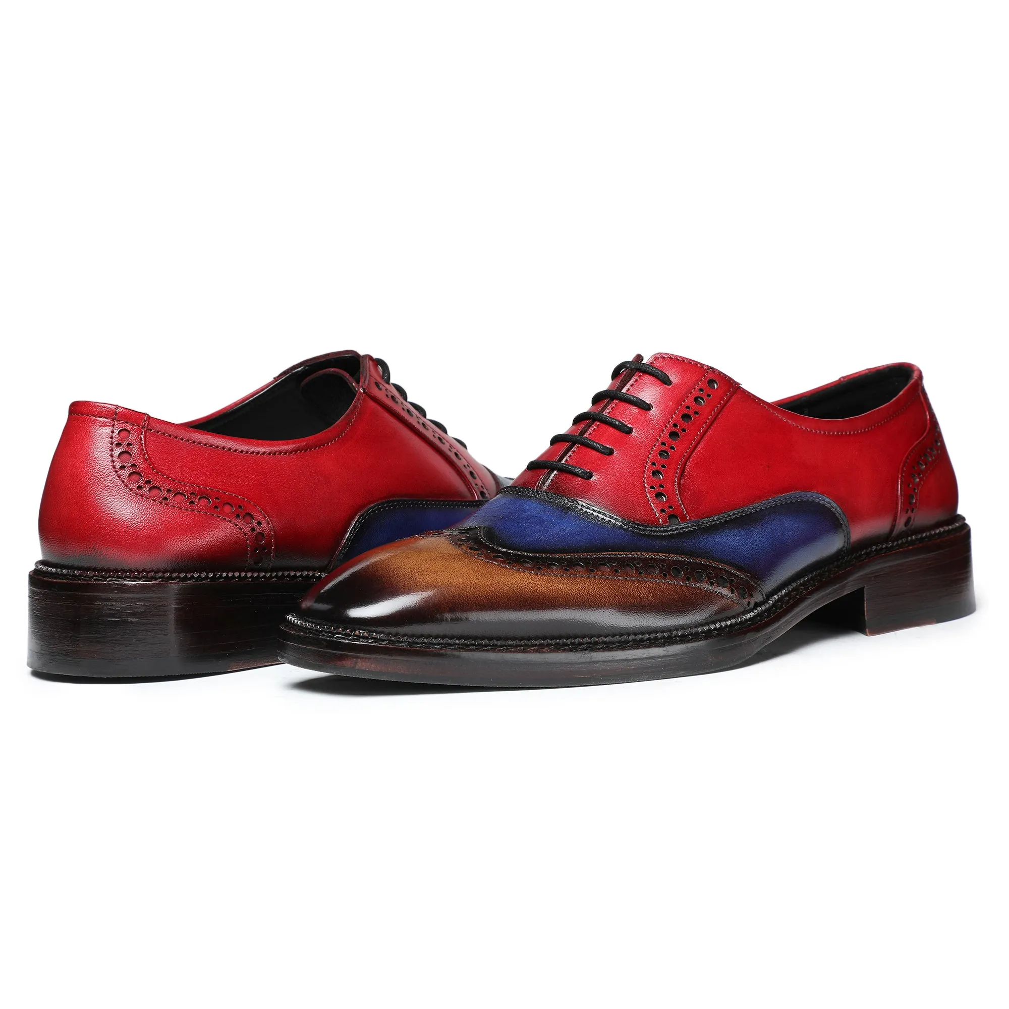 Wingtip Brogue Oxford - Multicolor