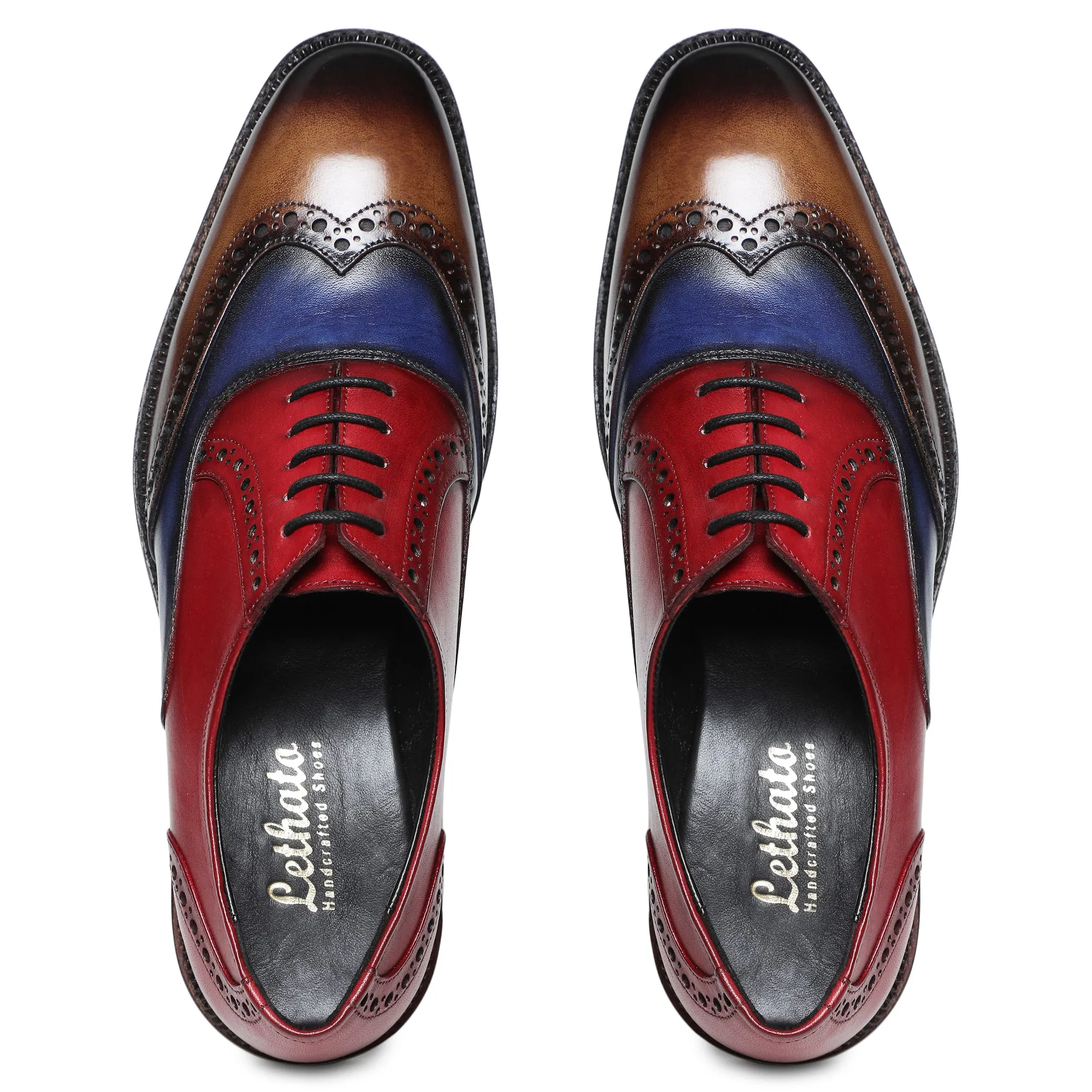 Wingtip Brogue Oxford - Multicolor